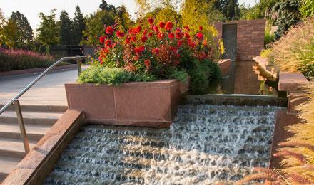 Welcome Gardens 039