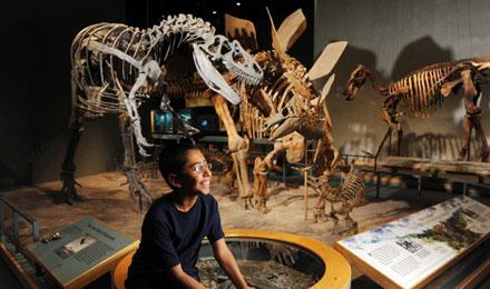 Prehistoric Journey