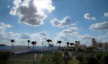 Buffalo In The Sky