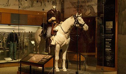 Museum Horse