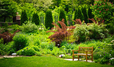 English Perennial Border