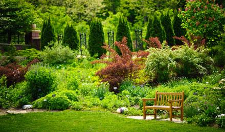 English Perennial Border