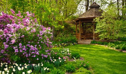 Founders Garden