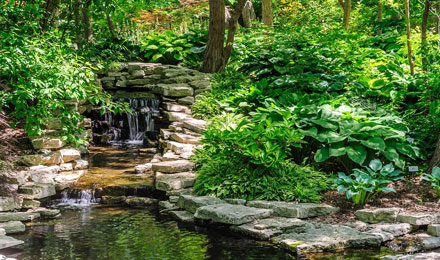 Garden In The Glen