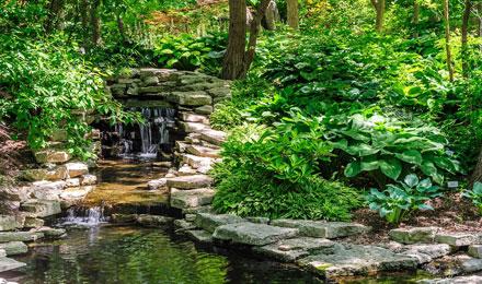 Garden In The Glen