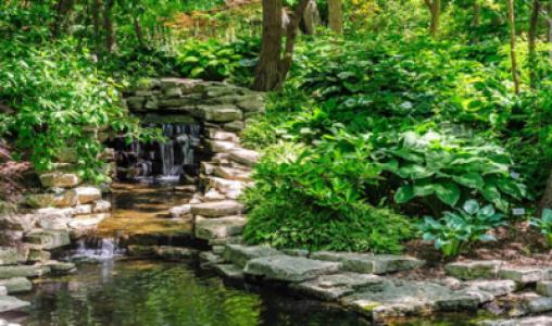 Garden In The Glen