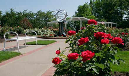 Rose Garden