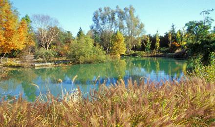 Fall View Of West Island M P