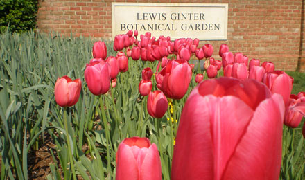 Front Sign2