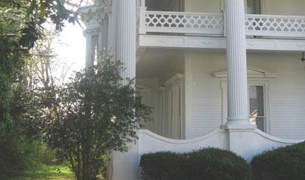 Side View