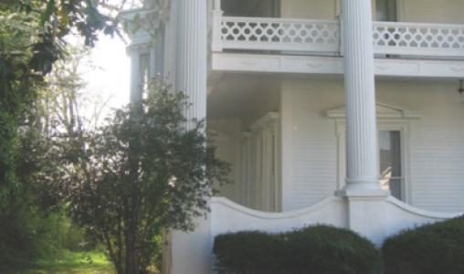 Side View