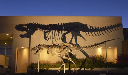 Big Mike & Museum