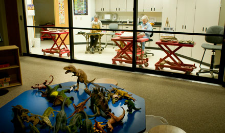 Fossil Viewing Lab