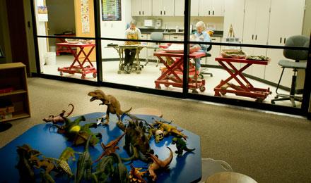 Fossil Viewing Lab