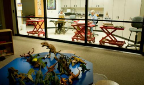 Fossil Viewing Lab