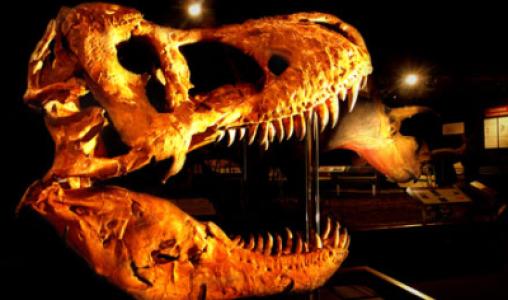 Hall Of Horns And Teeth