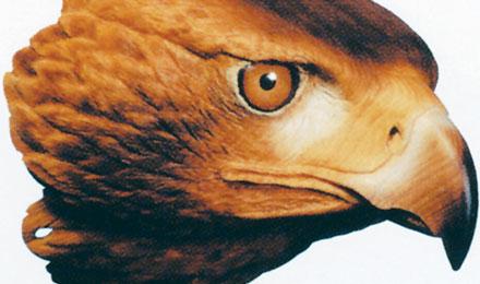 Eagle Silo