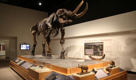 Mastodon