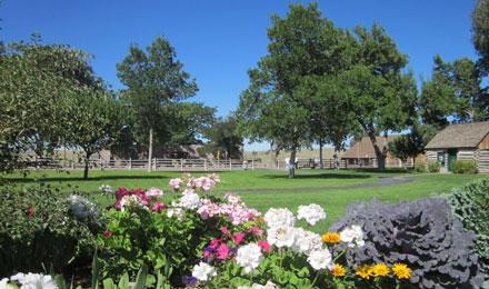 Cove Fort Flowers