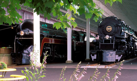 Locomotives& Foliage Cropped