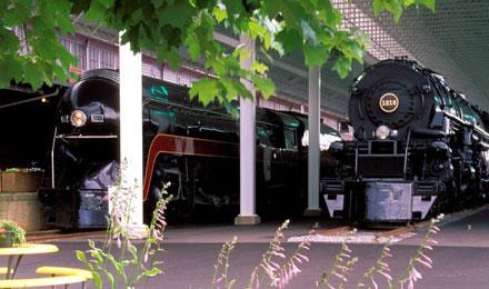 Locomotives& Foliage Cropped