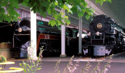 Locomotives& Foliage Cropped