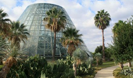A Visit To San Antonio Botanical Garden