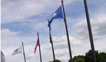 Flags & Flowers Behind Wall