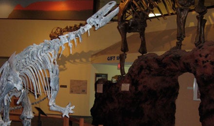 A Visit To The Albuquerque Museum Of Art And History
