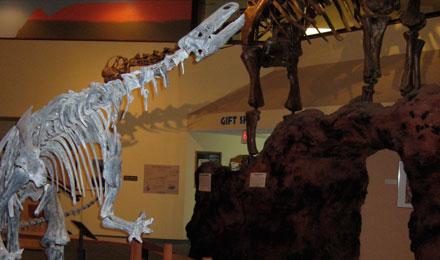 A Visit To The Albuquerque Museum Of Art And History