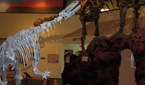 A Visit To The Albuquerque Museum Of Art And History
