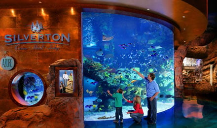 Visit To Aquarium At Silverton Casino Hotel