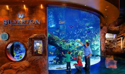 Visit To Aquarium At Silverton Casino Hotel