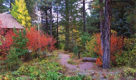 A Visit To The Arboretum At Flagstaff