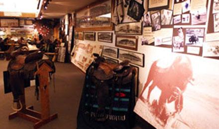 Black Hills Round Up