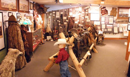 Cattle Companies