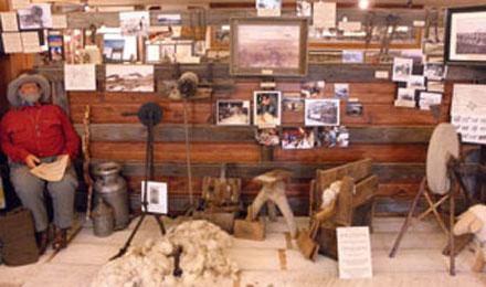 Sheep And Wool Industry
