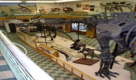 A Visit To The University Of Wyoming Geological Museum