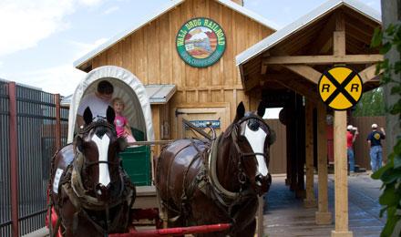 19 Backyard Courtyard Chuckwagon
