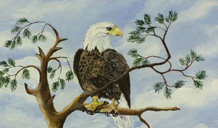 Z0117862Eagle