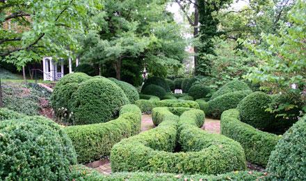 5911 Garden