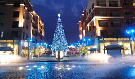 Branson Landing
