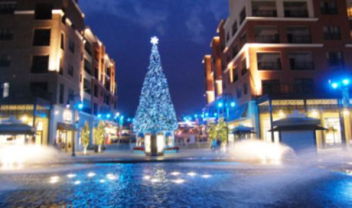 Branson Landing