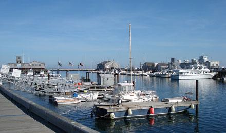 Cape Cod Boats