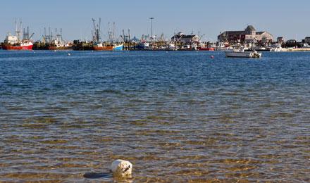 Cape Cod Chatham Provinceton