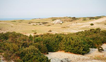 Cape Cod Chatham