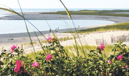Cape Cod Summer3
