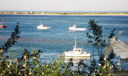 Cape Cod2