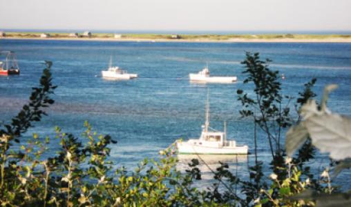 Cape Cod2