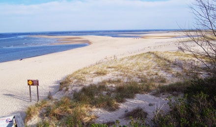 Cape Cod3